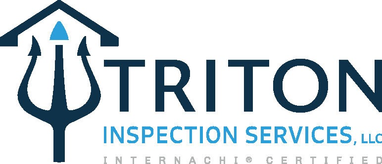 Triton Inspection Services - logo